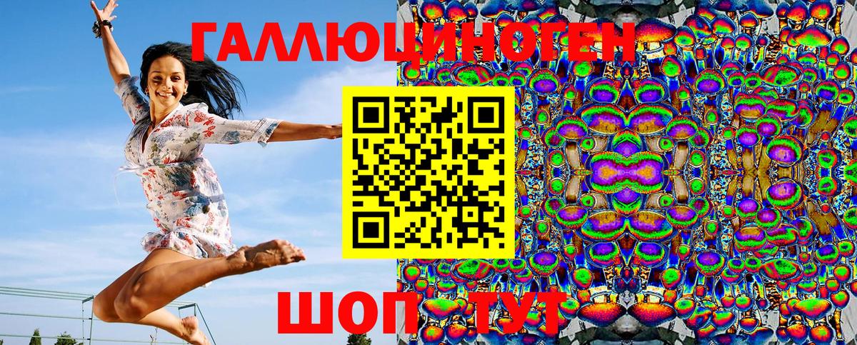 Аргун  Псилоцибиновые грибы Cubensis  Вход с VPN 