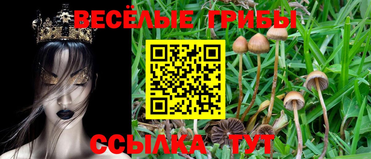 Псилоцибиновые грибы мухоморы Аргун
